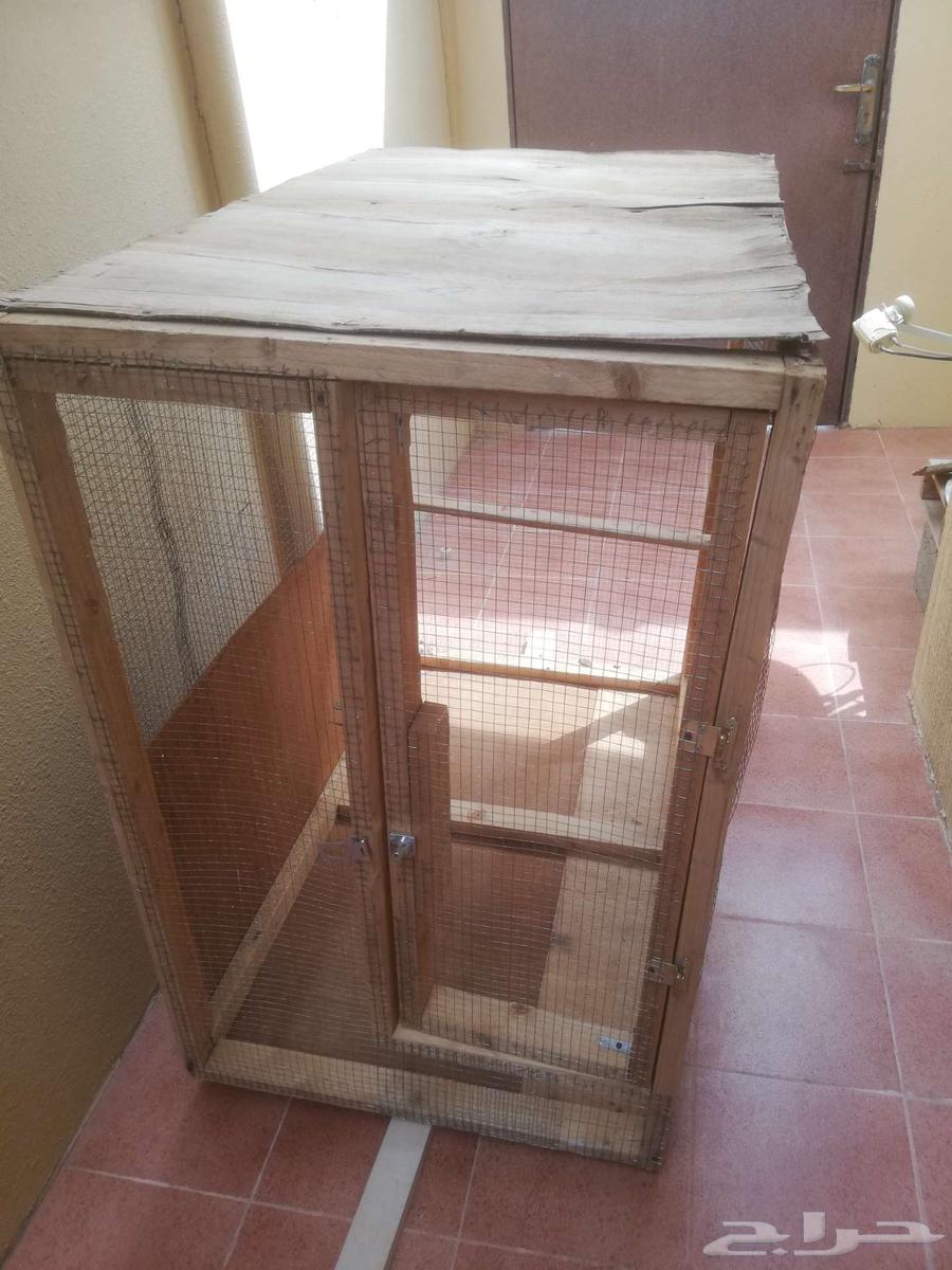 Medium bird net64454318917505110