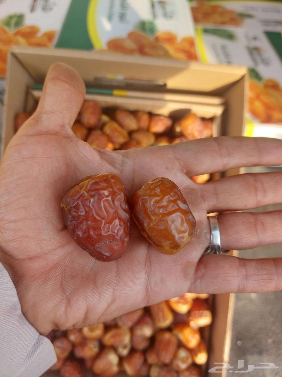 جالكسي فاخر رقم واحد ورقم اثنين64454332495619110