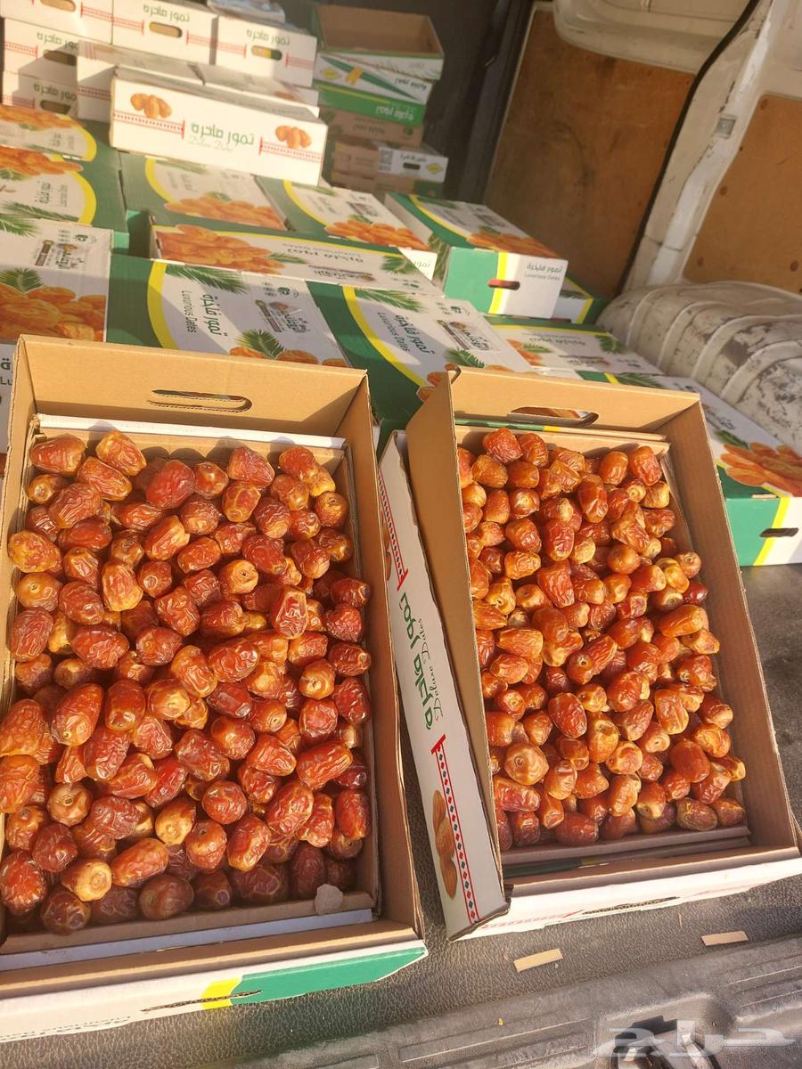 جالكسي فاخر رقم واحد ورقم اثنين64454332495619111