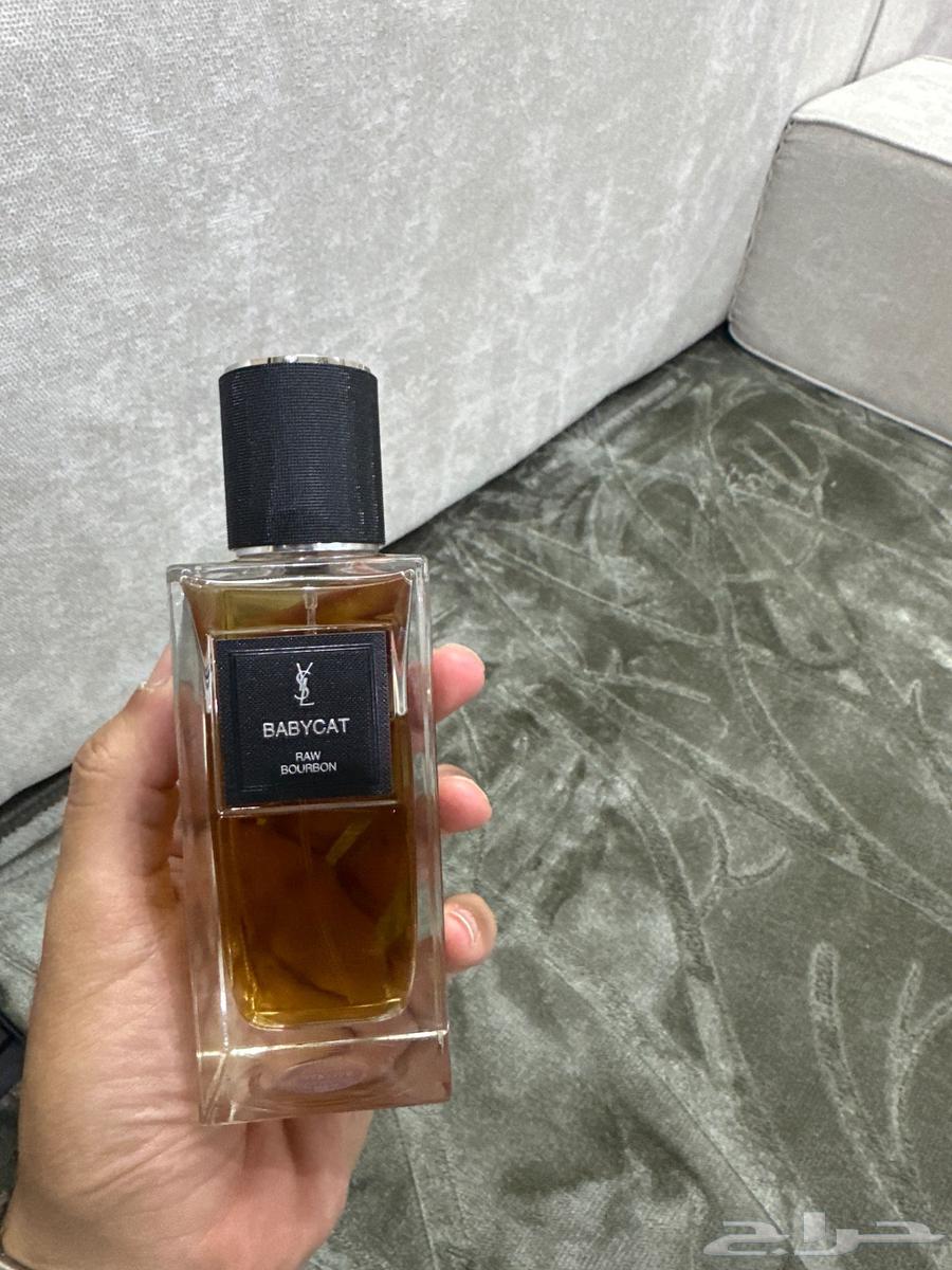 بيبي كات عطر رجالي فخم64455236140418110