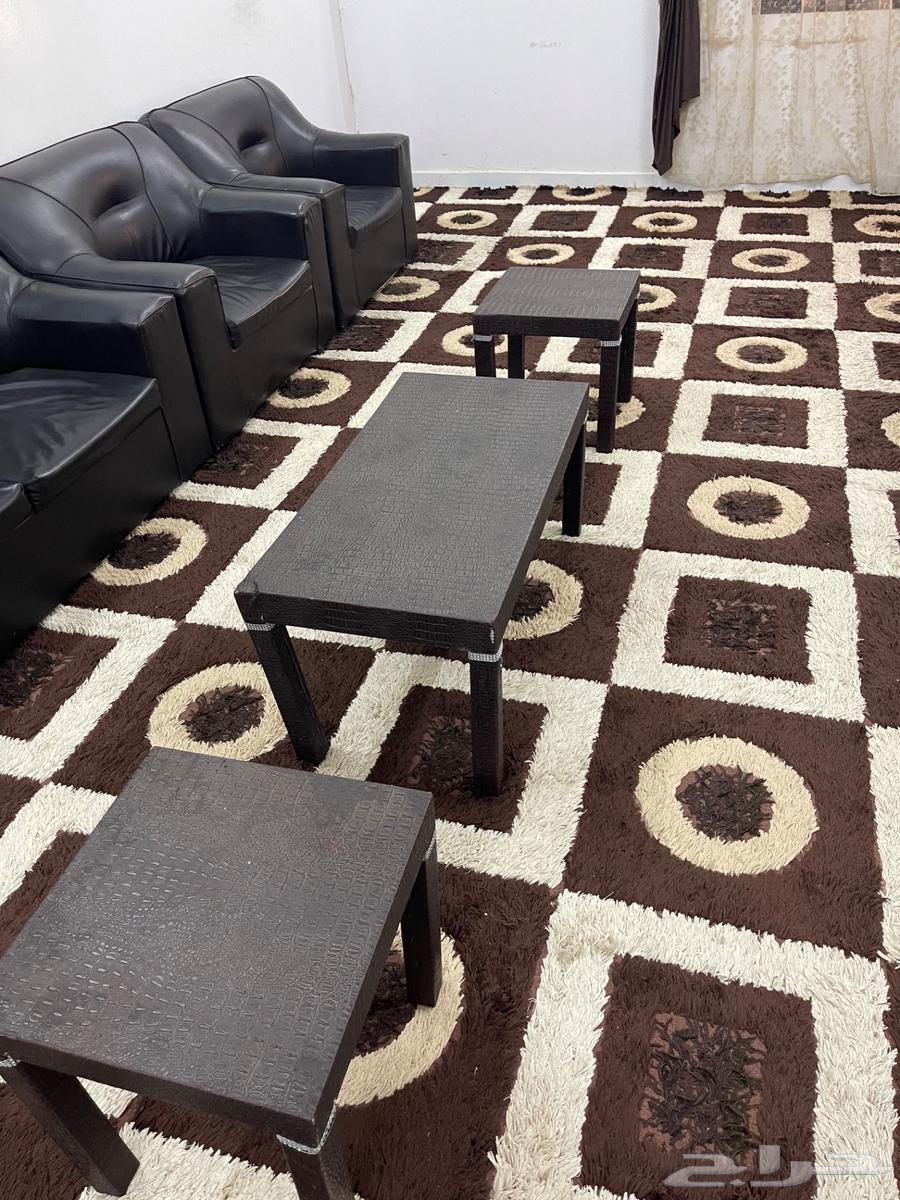 Used sofa with carpet and curtains64455495142529110