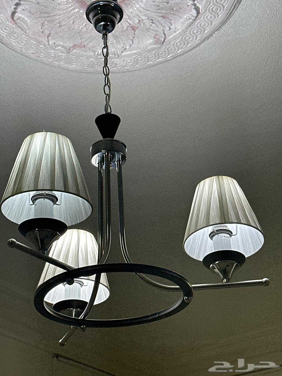 Elegant lights at 50 and 100 filtered for auction64457975512961113