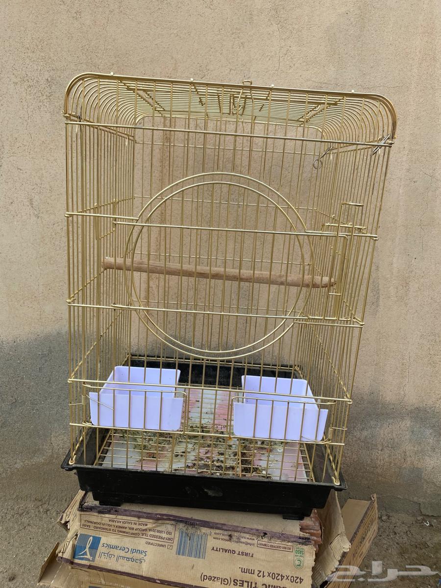 للبيع قفص ببغاء باقي نضيف64457172071041111