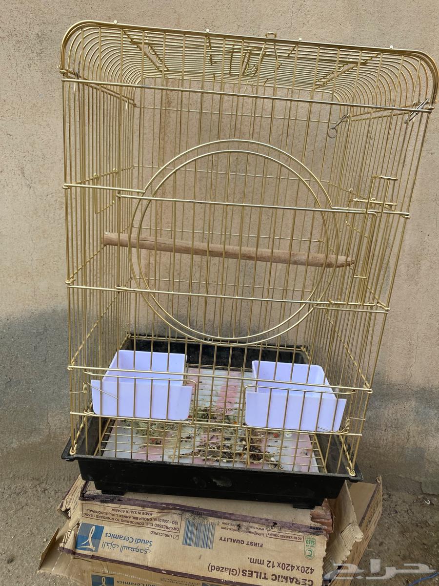 للبيع قفص ببغاء باقي نضيف64457172071041110