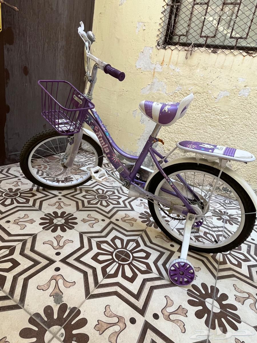 دراجه لون بنفسجي بناتي64453613953795110