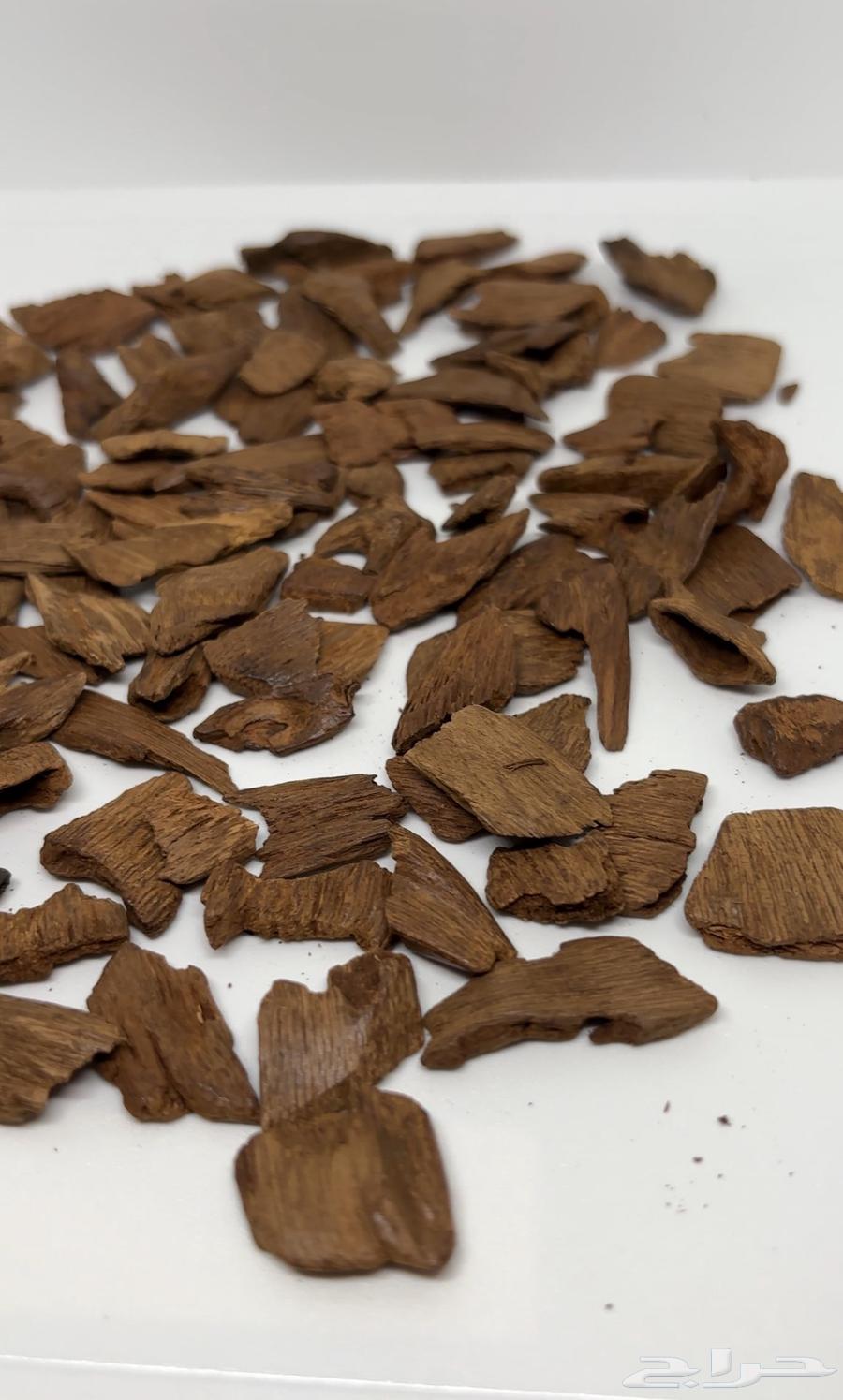 Natural Moroccan Oud (Sheets) Mini Size and Precision64459868299394110