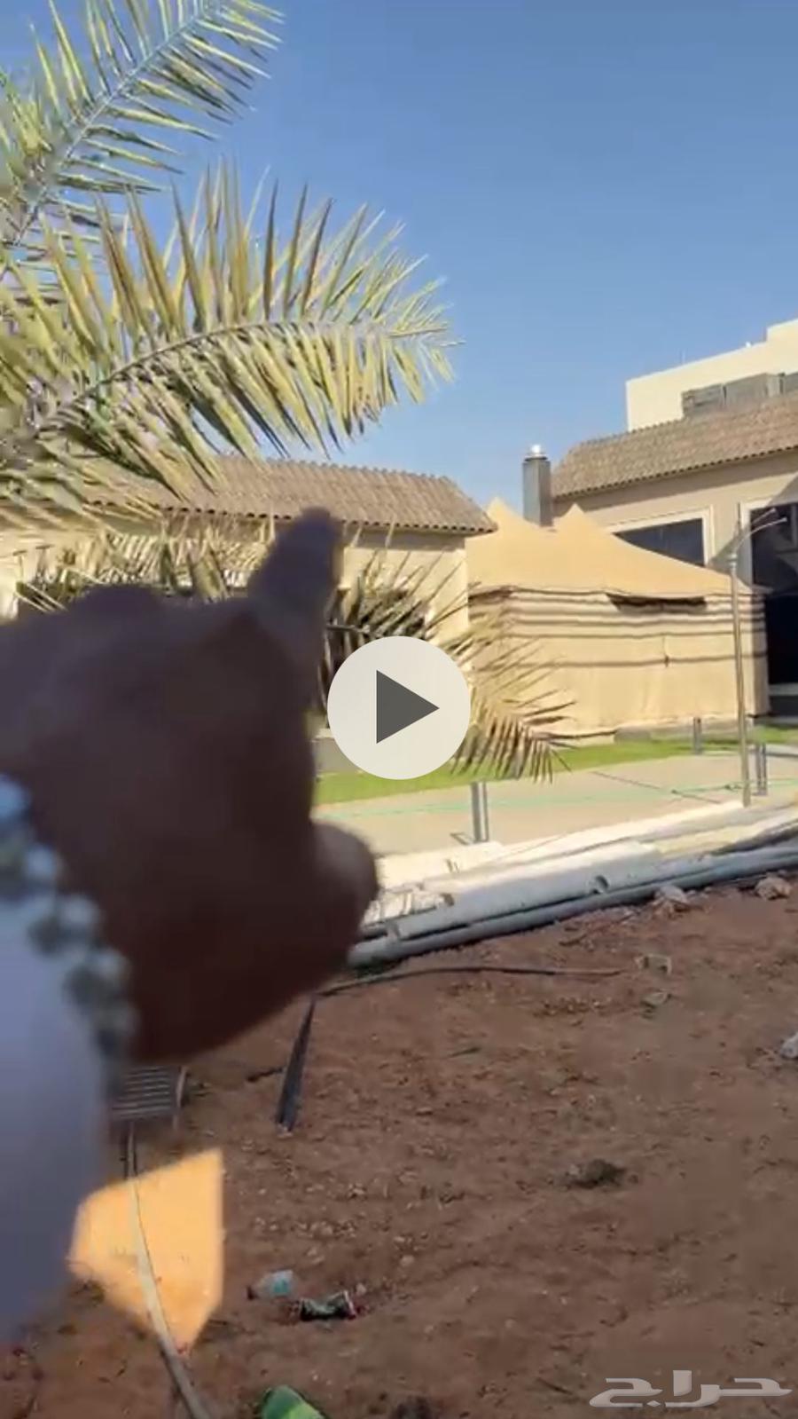 قرميد للبيع64451284681475111