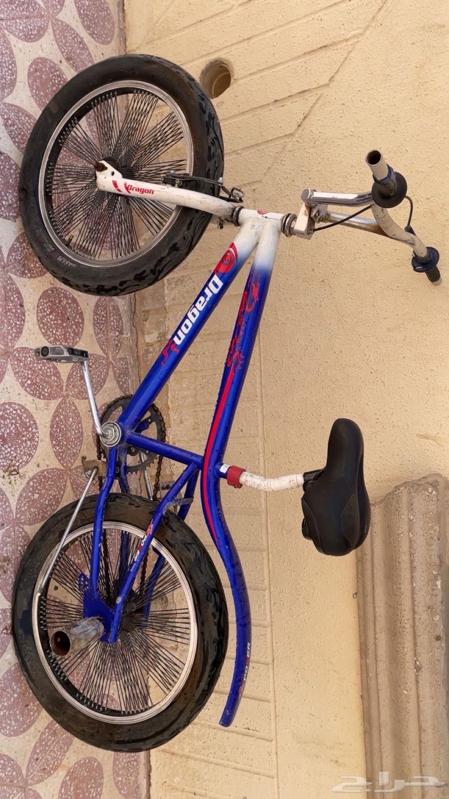 سيكل نضيف وكبير64452252587139113