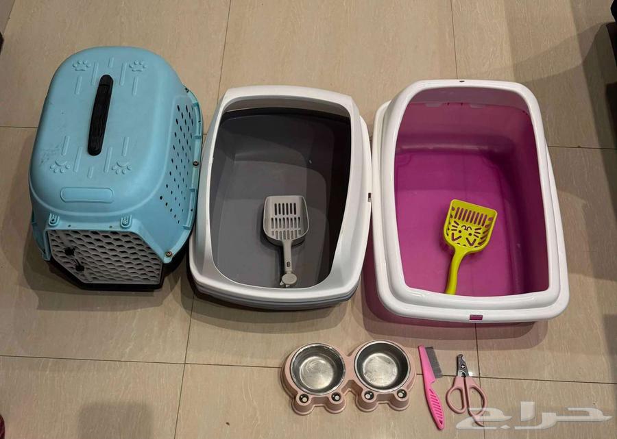Used and some new cat items in excellent condition, Al Muruj neighborhood, Riyadh64455852020737111