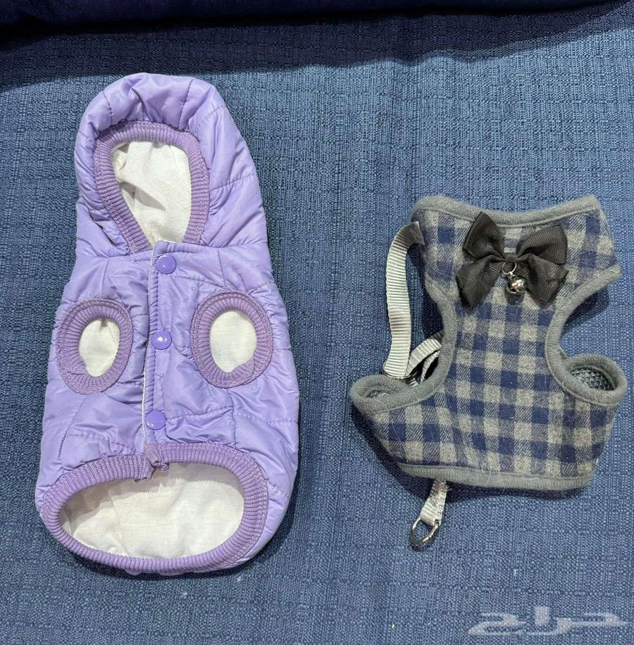 Used and some new cat items in excellent condition, Al Muruj neighborhood, Riyadh64455852020737114