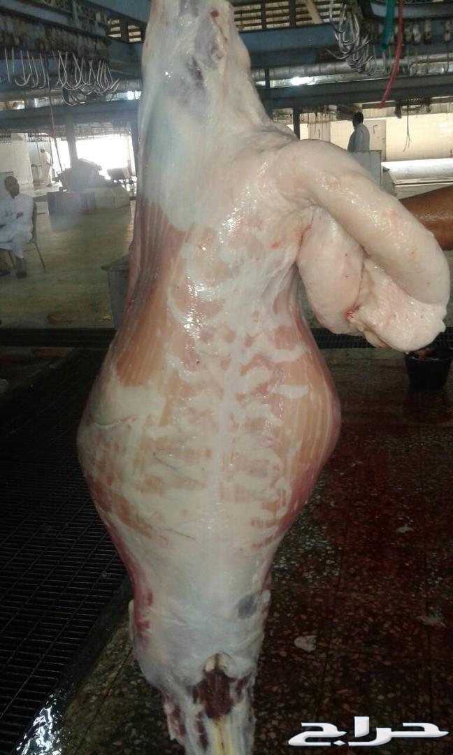 ذبائح الجزيرة.. مع التوصيل الاعلى تقييم في الموقع64461980353923110