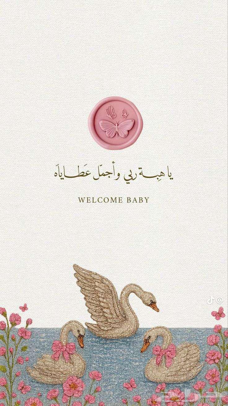 Electronic and CV invitation designs64459928703747113