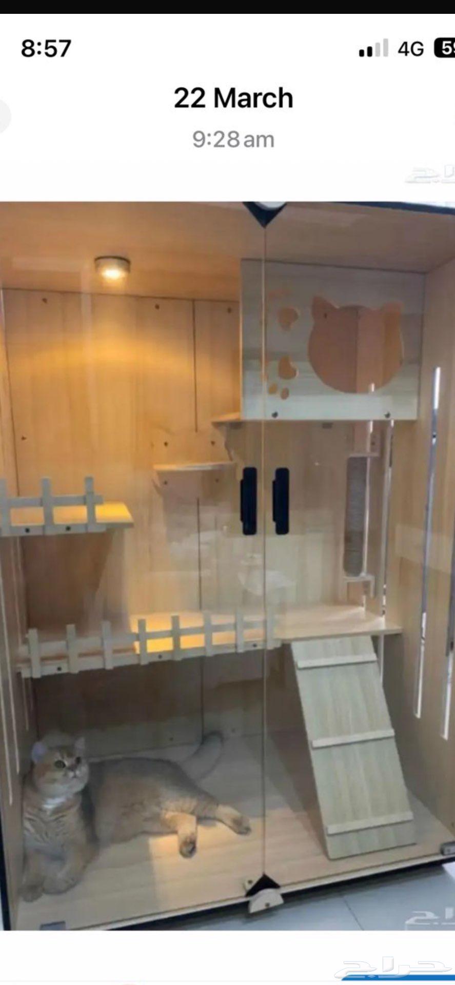 بيت للقطط من الخشب64461759959298111