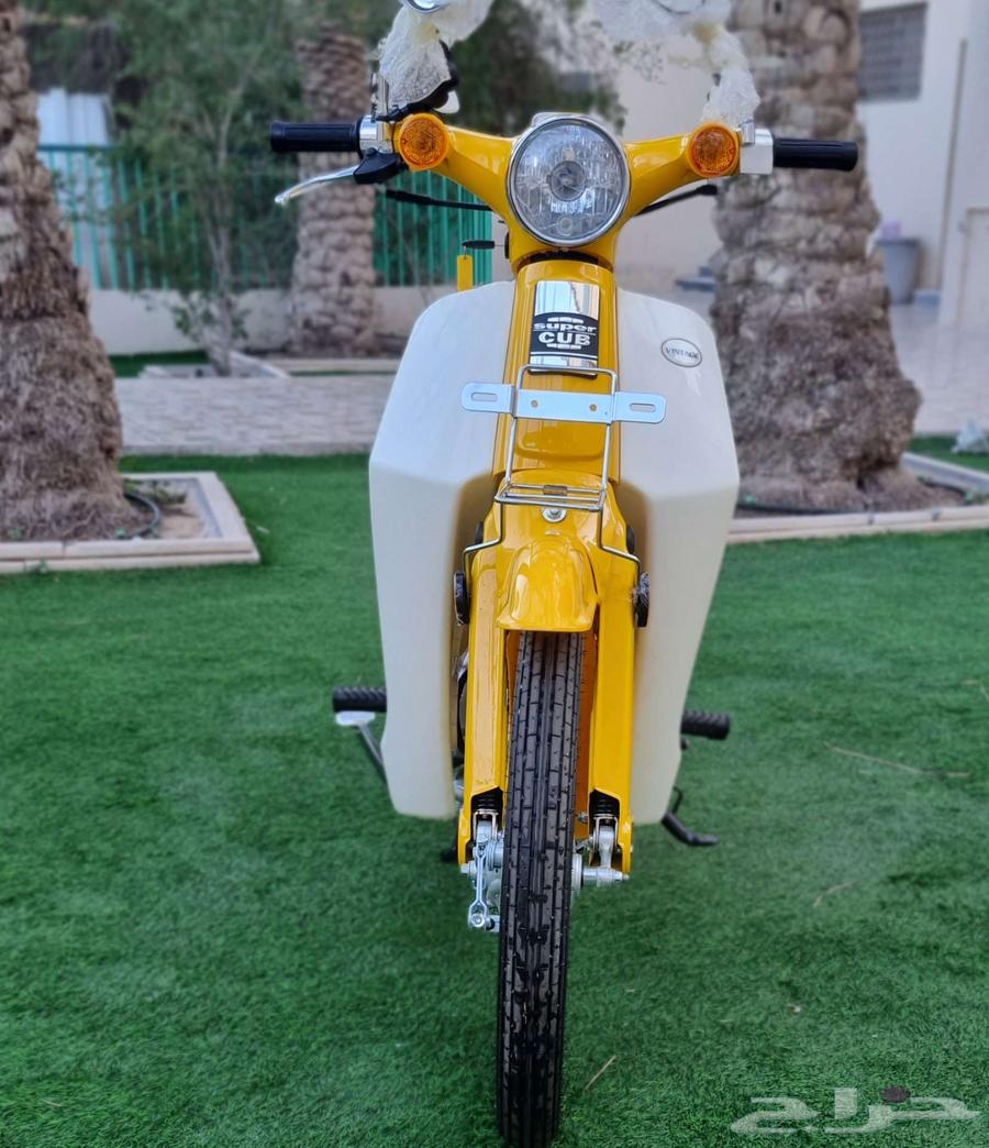 دباب كلاسيك للبيع64460748499202110