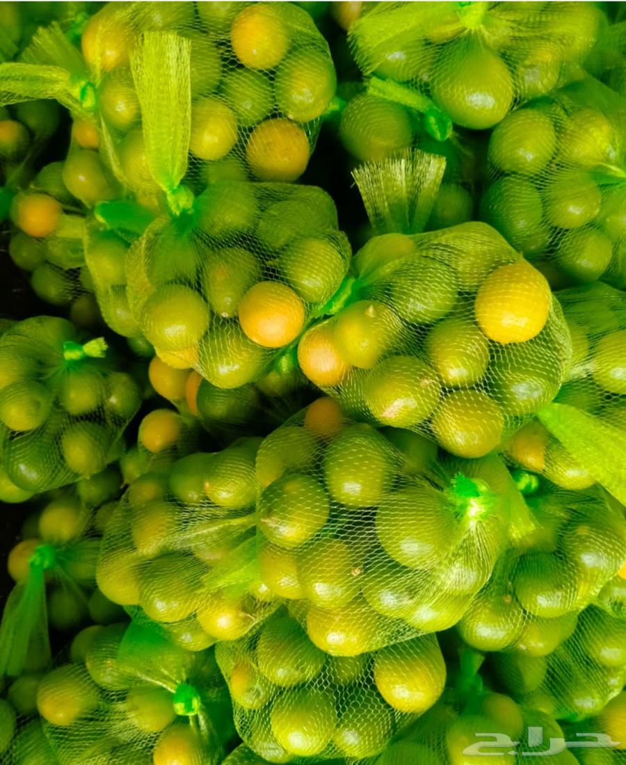 (فرصة )ليمون بن زهير الصندوق 6 ريال64461829104259111