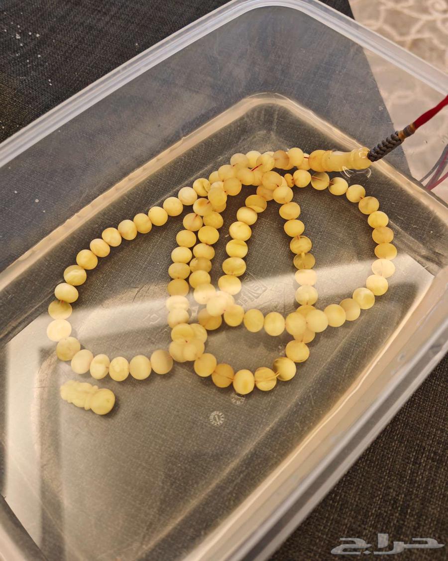 سبحه كهرمان كلنغرادي جبس بعسل منوصف64461691547905112