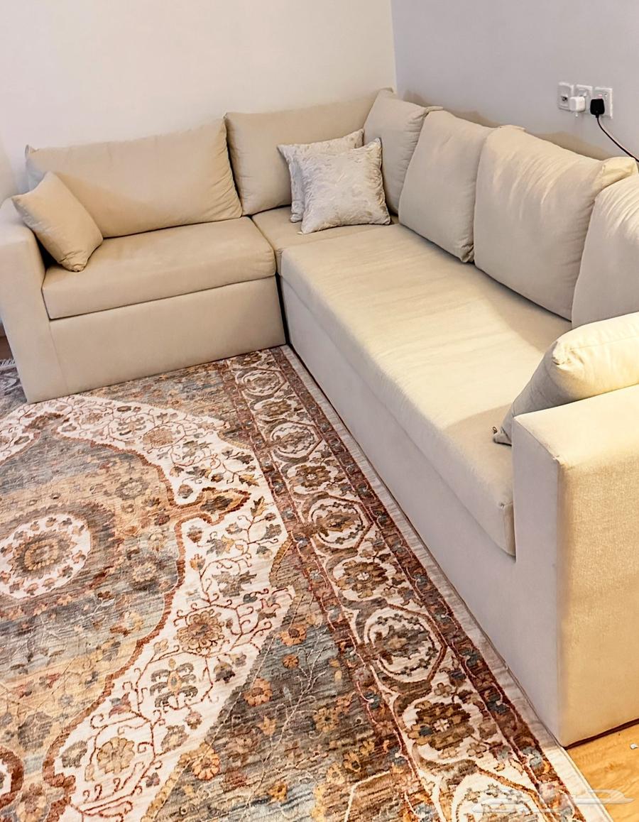 Clean sofa (price reduced by 50064464451045122110