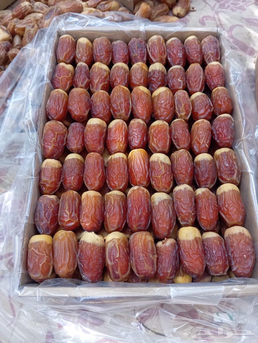 First-grade Lain dates64461324024323110