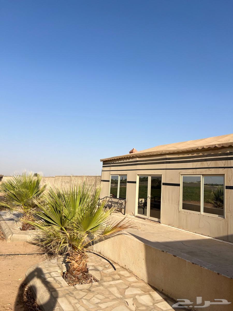 للبيع بيت PVC مع الأثاث64458467524995110