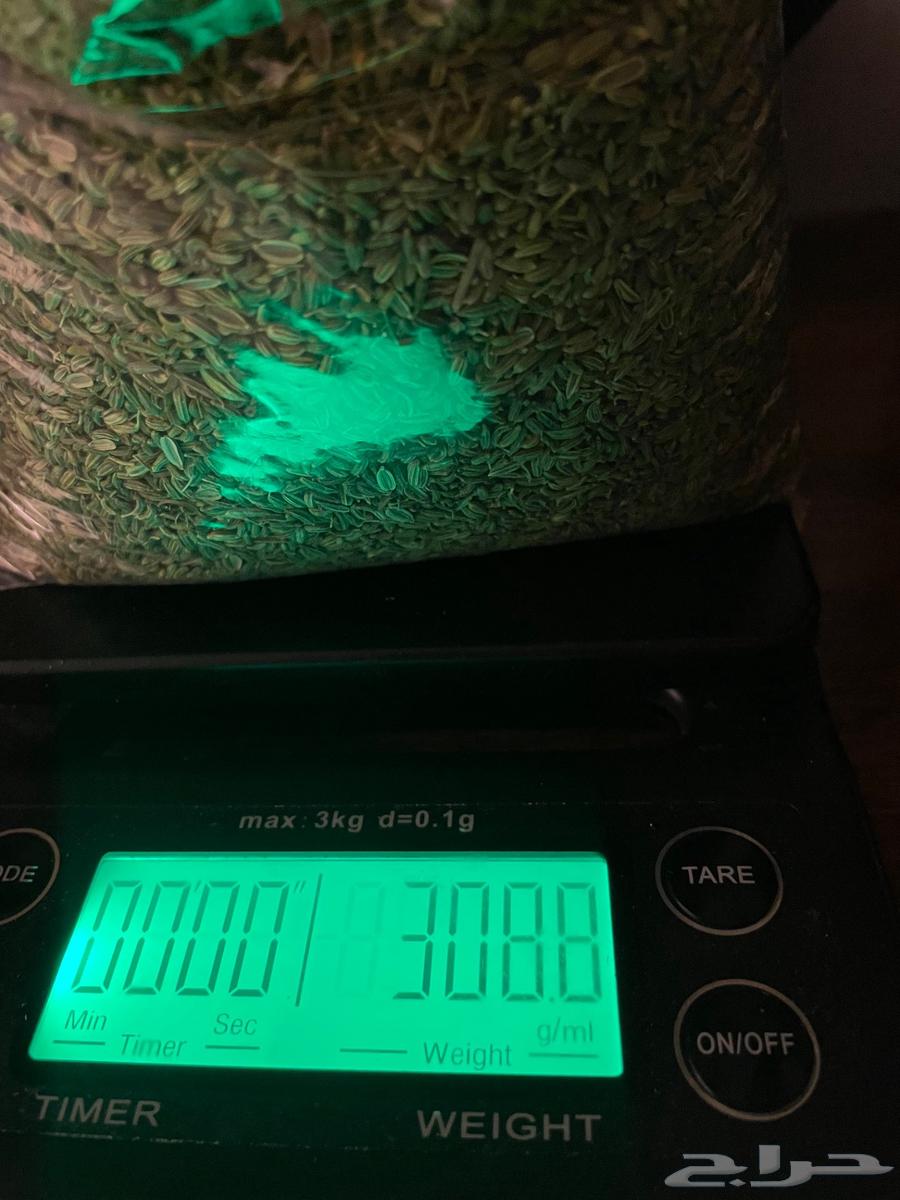 سنوت بلدي نضيف قطف الشهر هذا64463819746561112