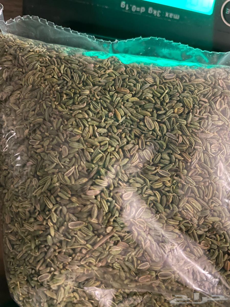 سنوت بلدي نضيف قطف الشهر هذا64463819746561111