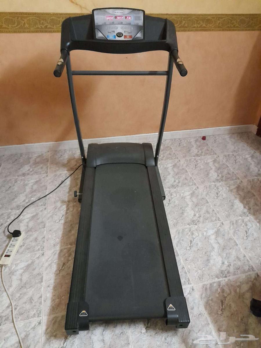 ينبع البحر64464111355651111