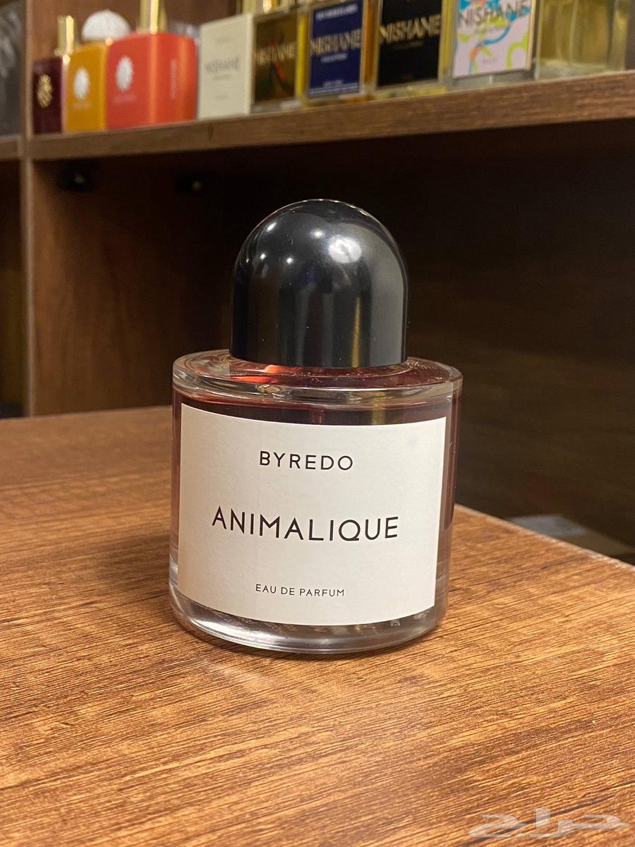 New perfumes arrived at excellent prices64464688629122113