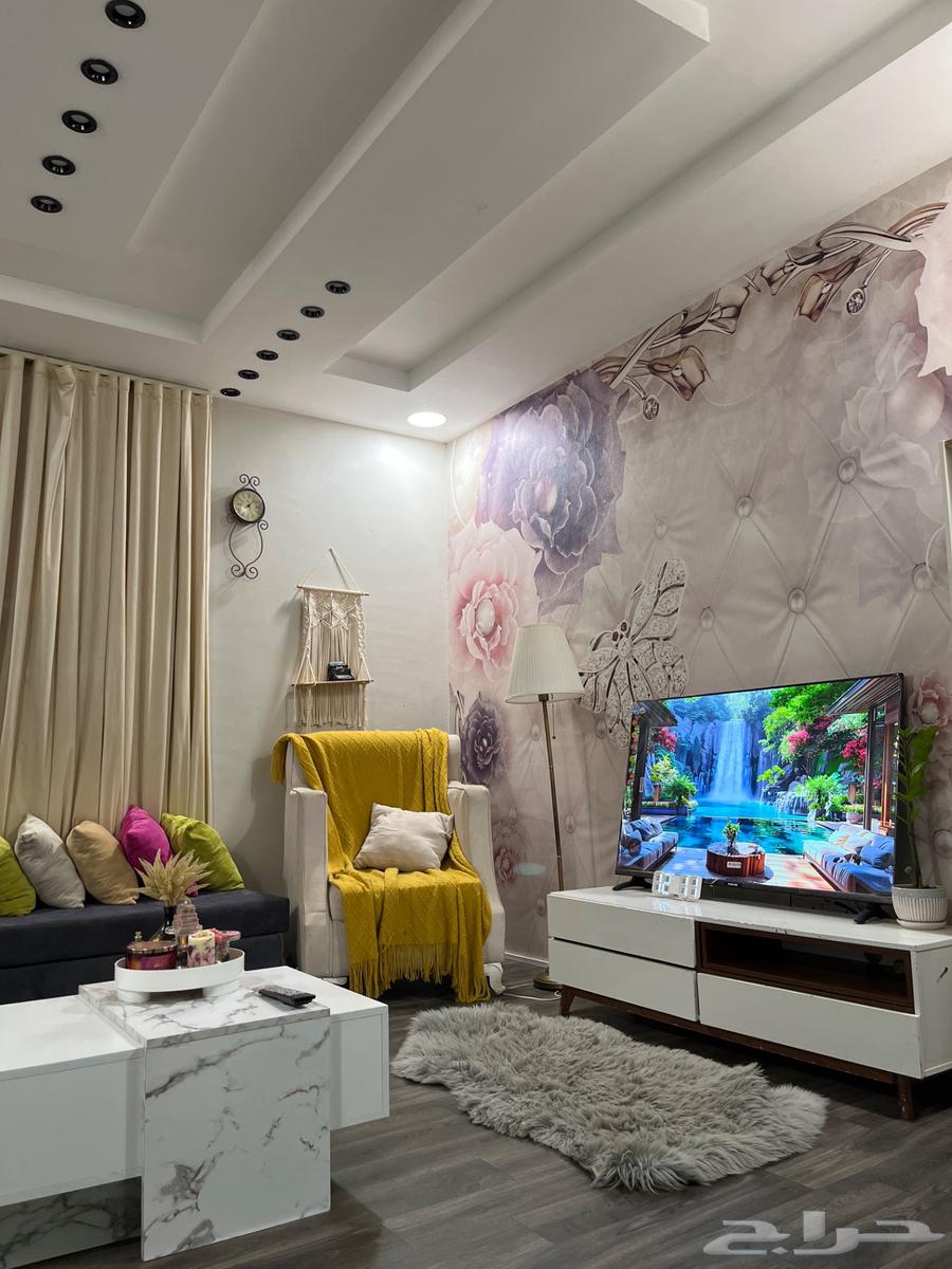 بيش السوق الداخلي64459499042306112