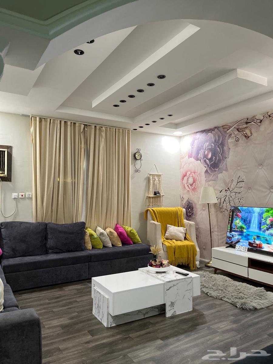 بيش السوق الداخلي64459499042306111