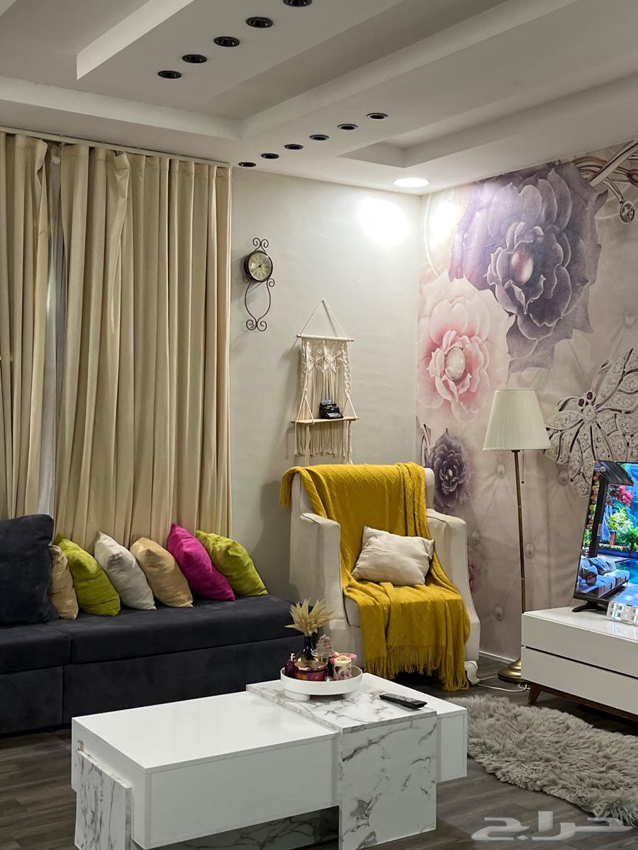 بيش السوق الداخلي64459499042306110