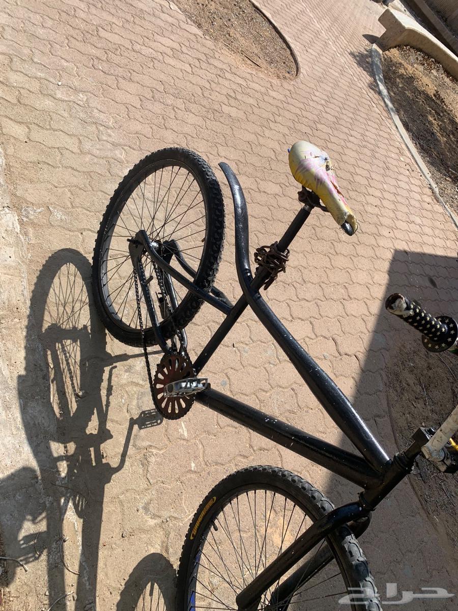 Cobra bicycle64460352065665112