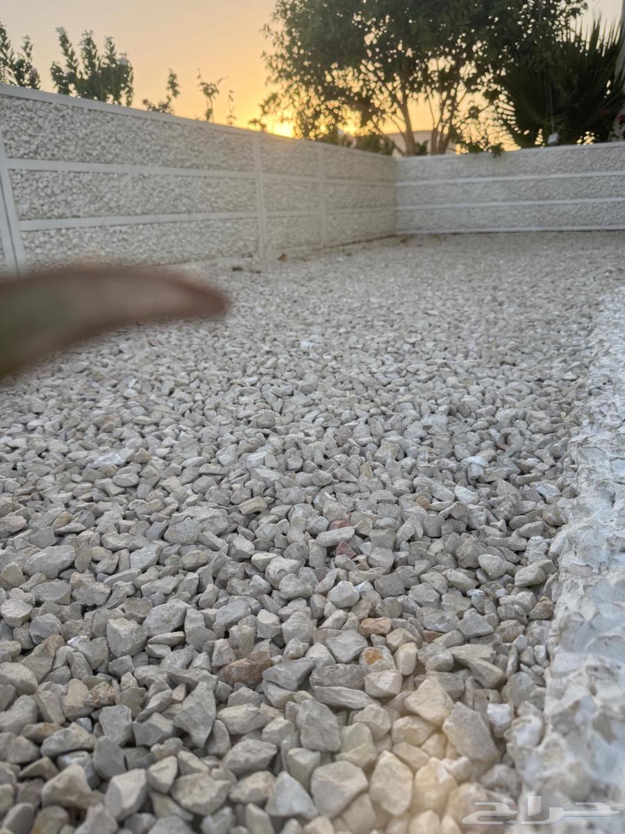 ب 15   بحص ابيض للزينة والحدائق64460693830145112