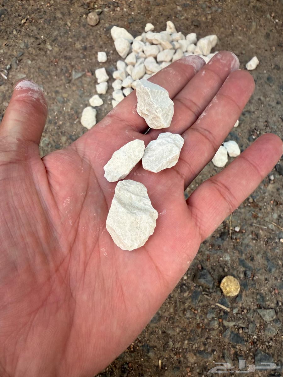 ب 15   بحص ابيض للزينة والحدائق64460693830145111