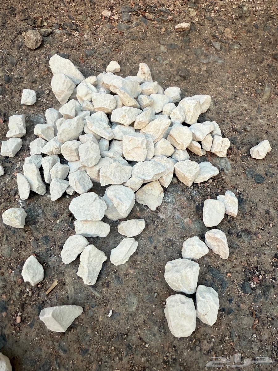 ب 15   بحص ابيض للزينة والحدائق64460693830145114