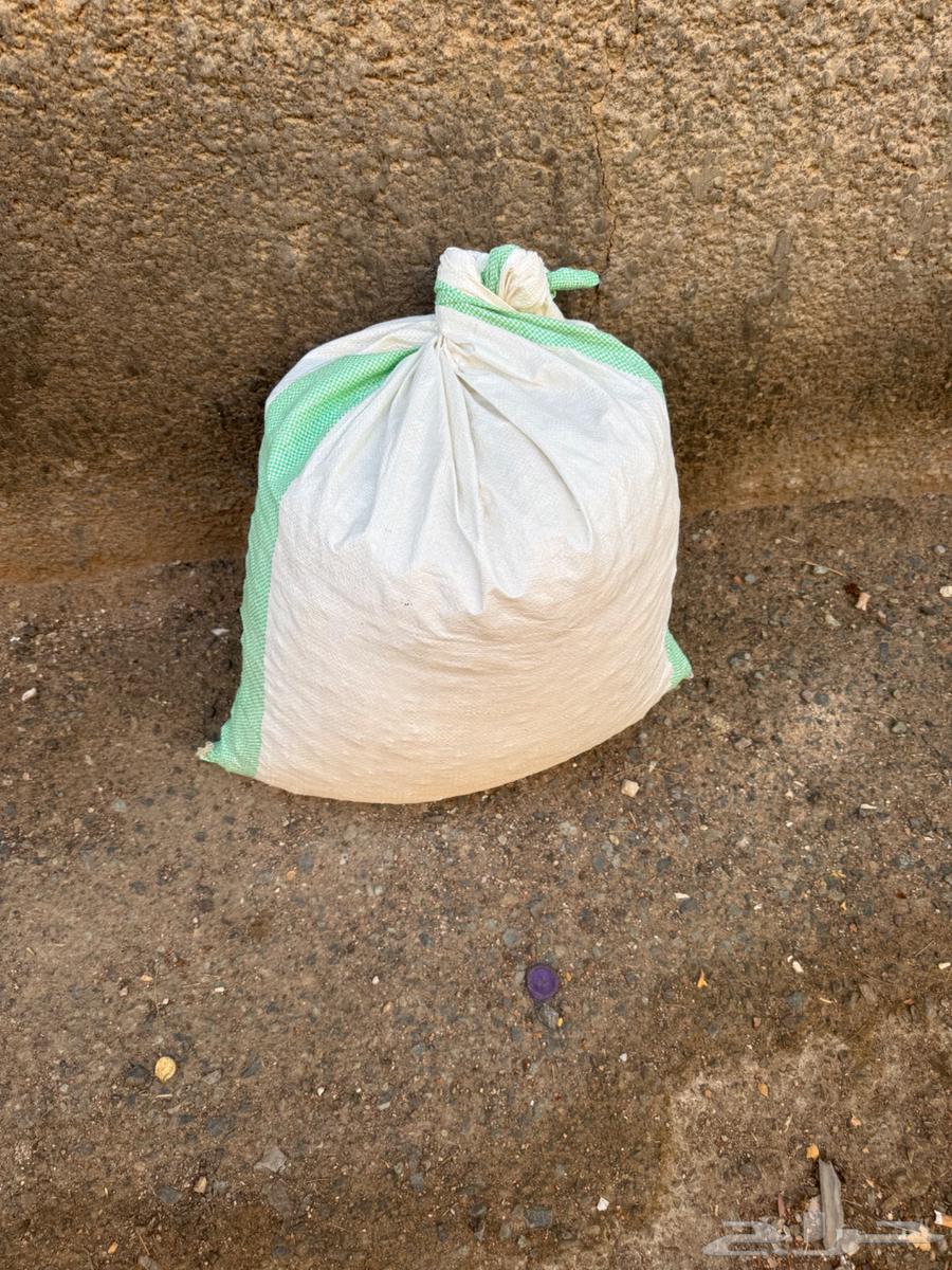 ب 15   بحص ابيض للزينة والحدائق64460693830145110