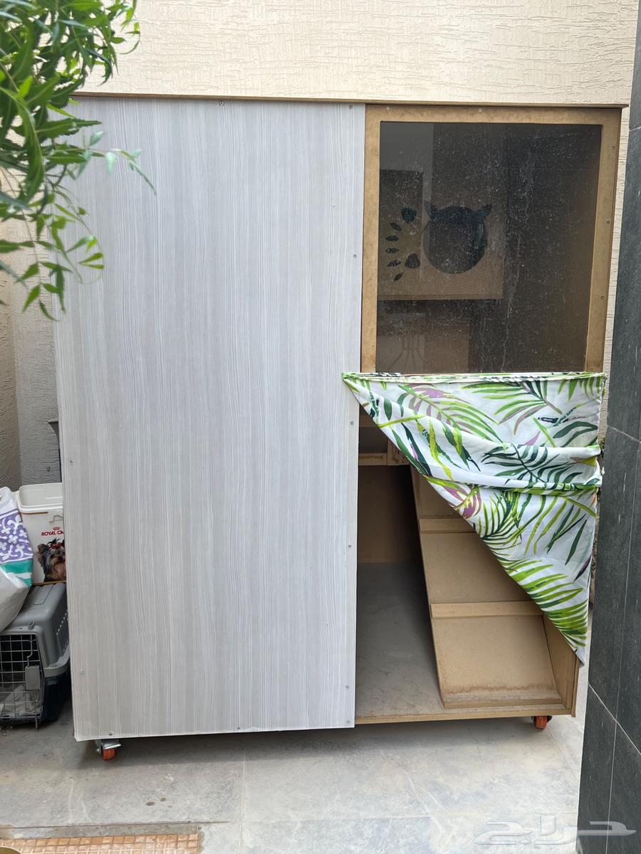 بيت للقطط من الخشب64461759959298110