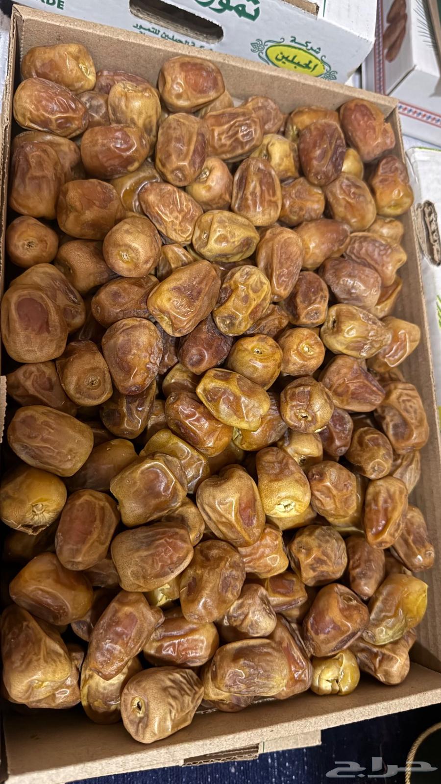 Dates64464944924929112