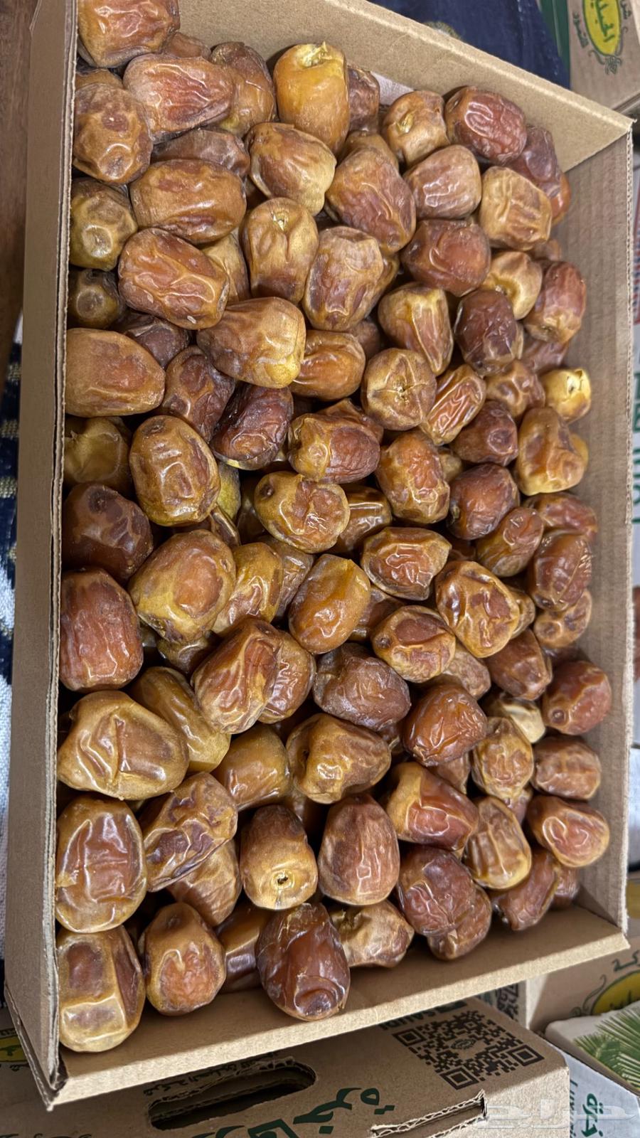 Dates64464944924929111