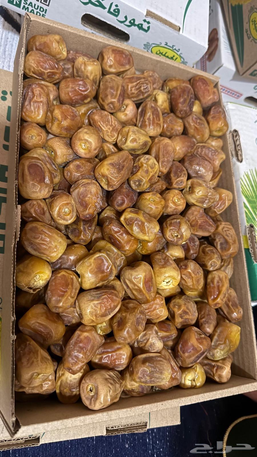 Dates64464944924929110