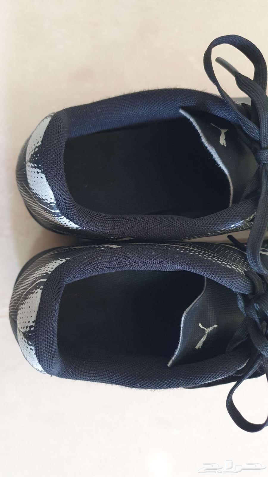 حذاء رياضي اطفال بوما الاصلي64467059489795114