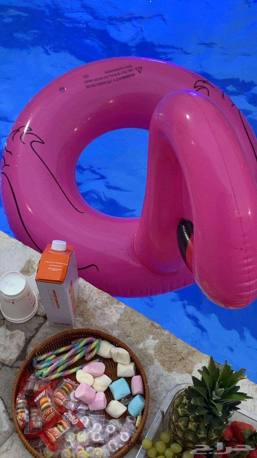 Half Day Chalets64469181199490114