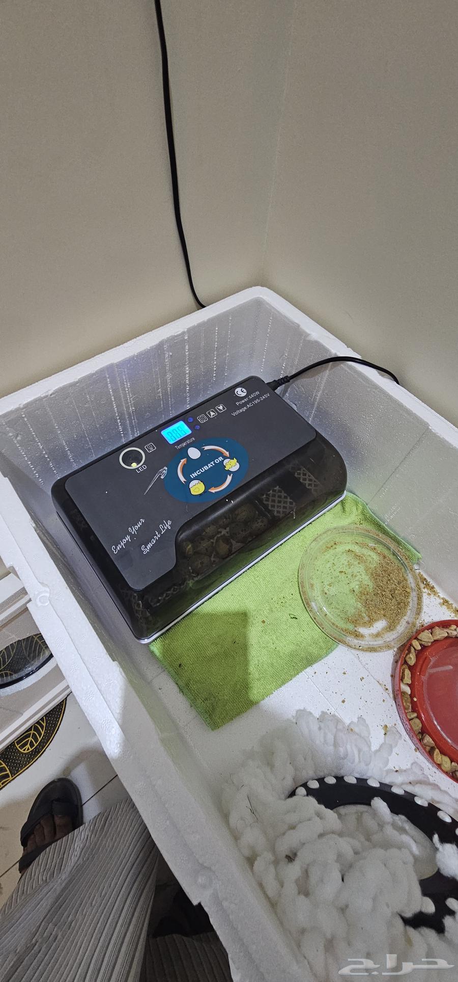 للبيع قفص كبير اخو الجديد64462376363010111