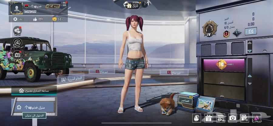 PUBG account level 7264463142485378110