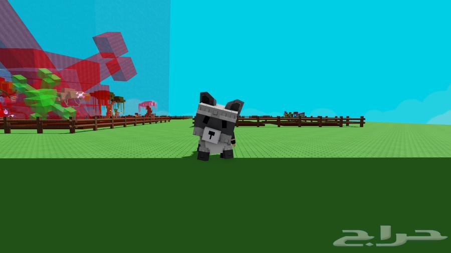 حساب روبلوكس grow a garden و ماب السرقه64440069662466110