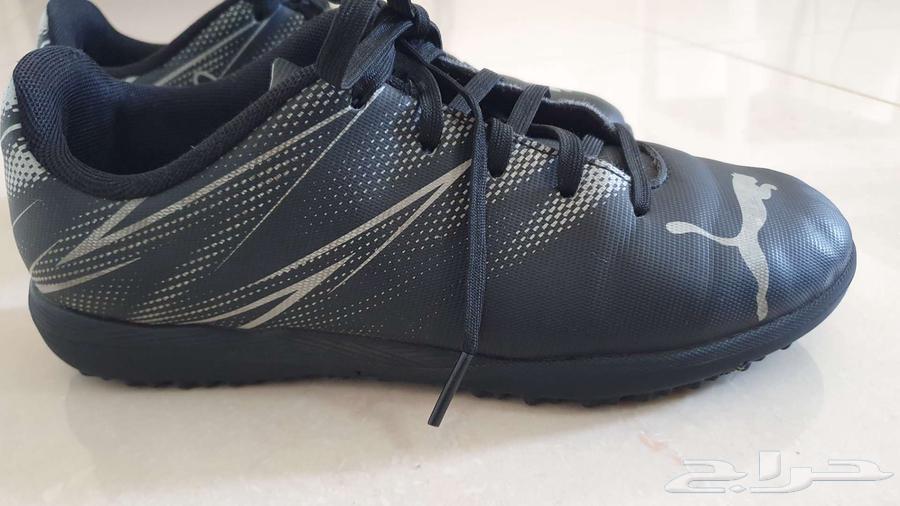حذاء رياضي اطفال بوما الاصلي64467059489795112