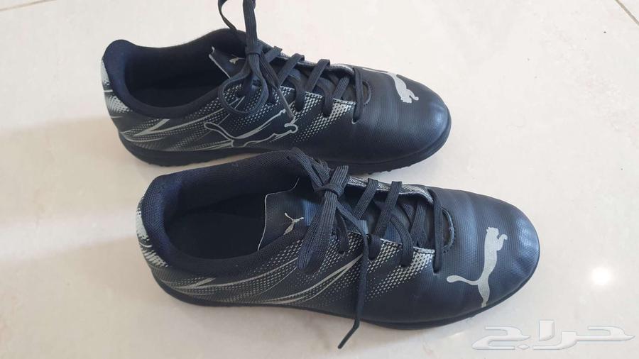 حذاء رياضي اطفال بوما الاصلي64467059489795111