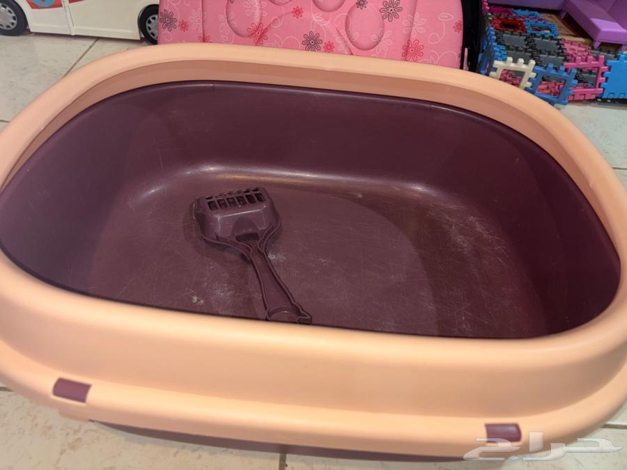 اغراض ومستلزمات قطط للبيع في جدة64459468817794110