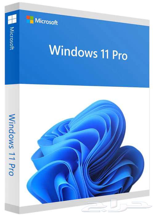 Windows 11 Pro activation key at the cheapest price ever64471335059458110