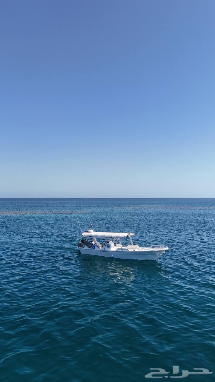 رحلات بحرية جدة جزيرة بياضه قارب جديد 202664465926518274112