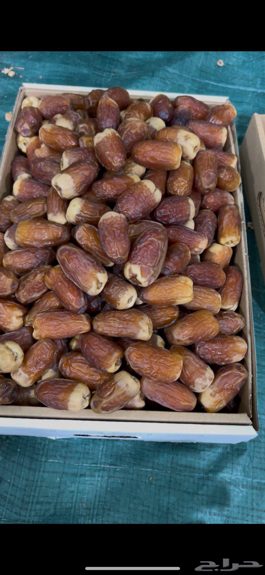 صقعي فاخر أبو طوق64469529693955110